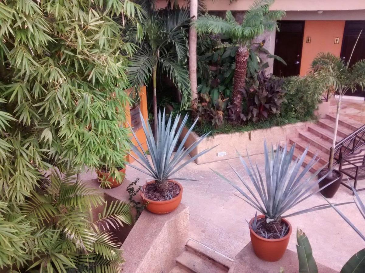Hotel San Luis Lindavista Culiacan Exterior photo